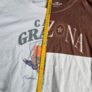 Hollister Crop Top T-Shirt | Arizona Print | Braun/Weiß | Gr. S